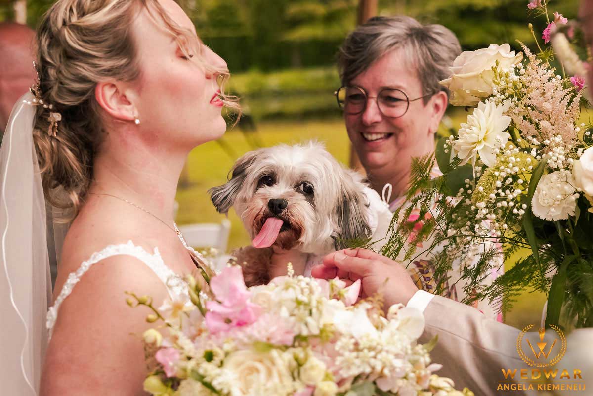 Bruiloftreportage Angela Kiemeneij. Hondje steekt tong uit op trouwdag gefotografeerd door de trouwfotograaf.