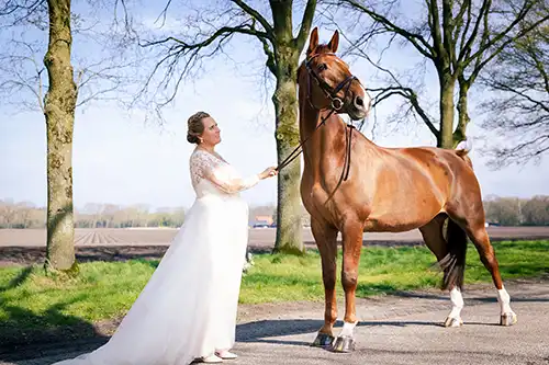 Trouwen-bij-Komaen-Oirschot-Hond-Paard-58 Angela-Kiemeneij-Fotografiespontaan-kleurrijk Spontane trouwreportage bij Komaen in Oirschot door Angela Kiemeneij Fotografie